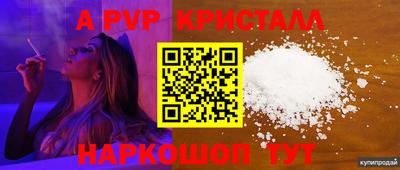 мяу мяу мука Беслан