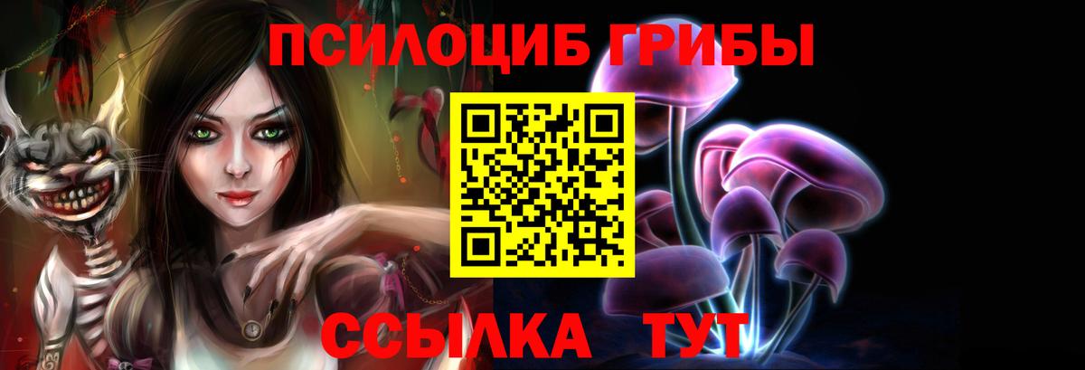 Галлюциногенные грибы MAGIC MUSHROOMS  Вход с VPN  как найти закладки  Галлюциногенные грибы мухоморы  Киселёвск 